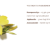 evening-primrose