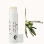 john-masters-organics-lip-calm-original-olive
