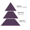 et diagram over tre forskellige typer trekanter.